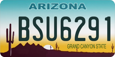 AZ license plate BSU6291