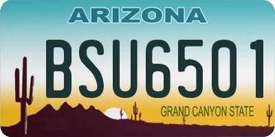 AZ license plate BSU6501