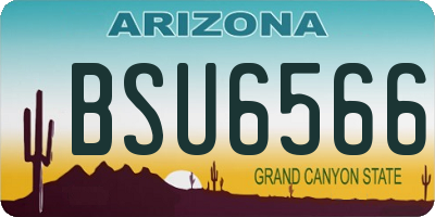 AZ license plate BSU6566