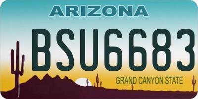 AZ license plate BSU6683