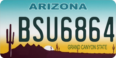 AZ license plate BSU6864