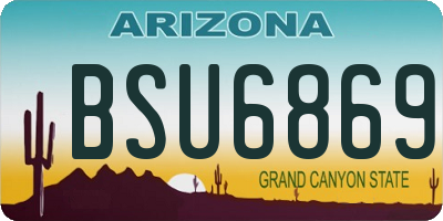 AZ license plate BSU6869