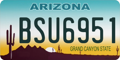 AZ license plate BSU6951