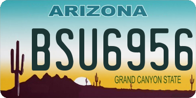 AZ license plate BSU6956
