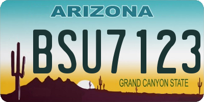 AZ license plate BSU7123