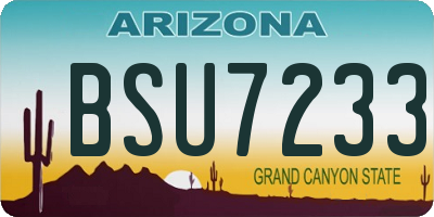 AZ license plate BSU7233