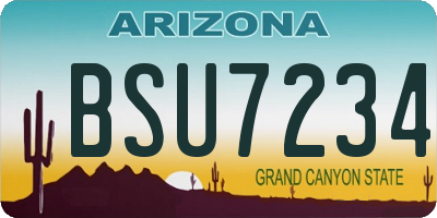 AZ license plate BSU7234