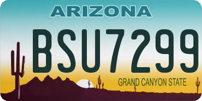 AZ license plate BSU7299