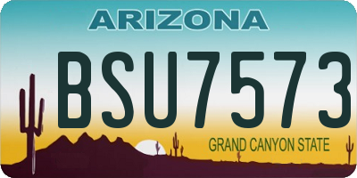 AZ license plate BSU7573