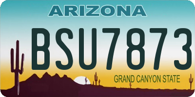 AZ license plate BSU7873