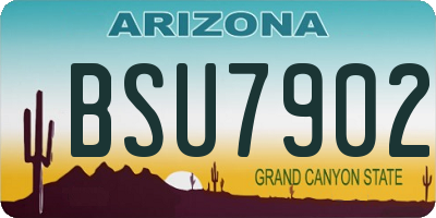 AZ license plate BSU7902