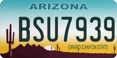 AZ license plate BSU7939