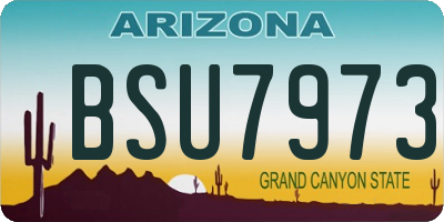 AZ license plate BSU7973