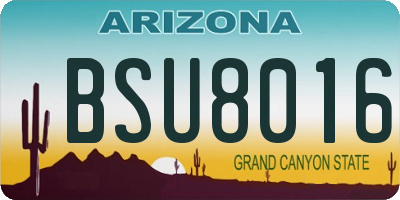 AZ license plate BSU8016
