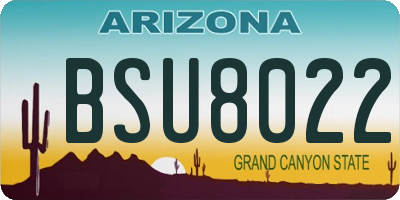 AZ license plate BSU8022