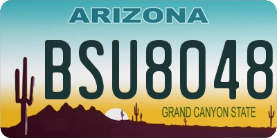 AZ license plate BSU8048