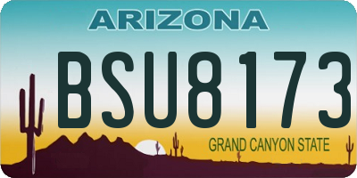 AZ license plate BSU8173