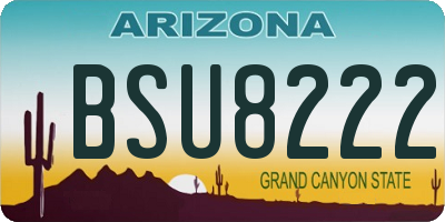 AZ license plate BSU8222