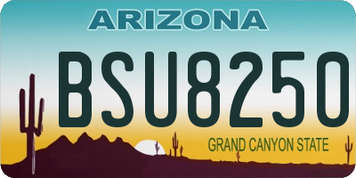 AZ license plate BSU8250