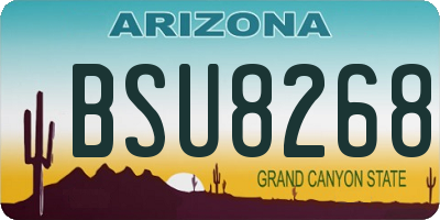 AZ license plate BSU8268