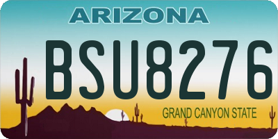 AZ license plate BSU8276