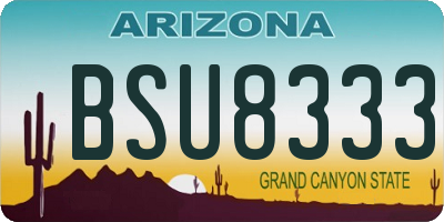 AZ license plate BSU8333