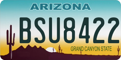 AZ license plate BSU8422