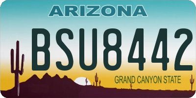 AZ license plate BSU8442