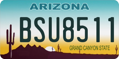 AZ license plate BSU8511