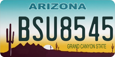 AZ license plate BSU8545