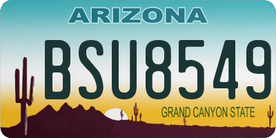 AZ license plate BSU8549
