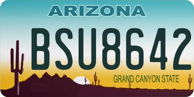 AZ license plate BSU8642