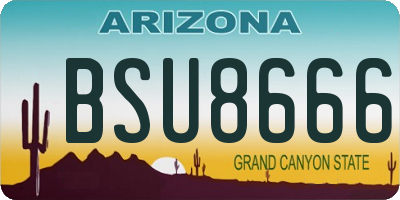 AZ license plate BSU8666