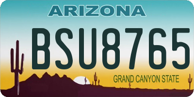 AZ license plate BSU8765