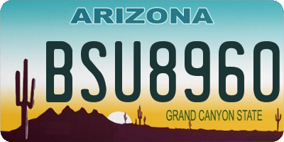 AZ license plate BSU8960