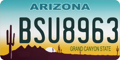 AZ license plate BSU8963