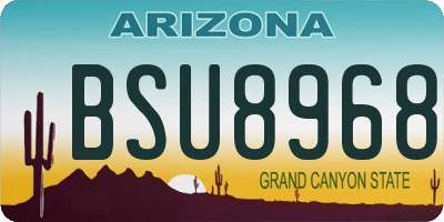 AZ license plate BSU8968