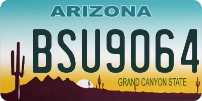 AZ license plate BSU9064