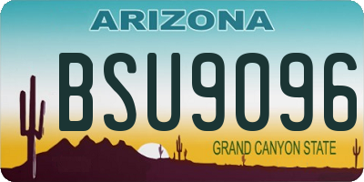 AZ license plate BSU9096