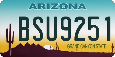 AZ license plate BSU9251