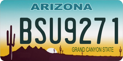 AZ license plate BSU9271