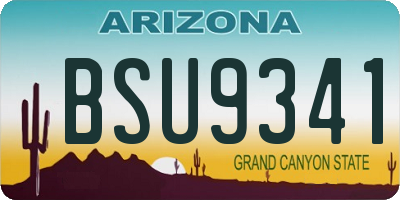 AZ license plate BSU9341