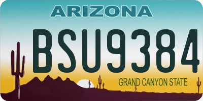 AZ license plate BSU9384