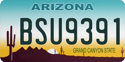 AZ license plate BSU9391