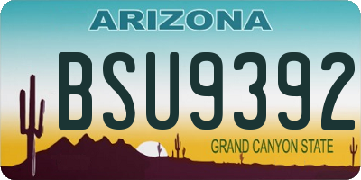 AZ license plate BSU9392