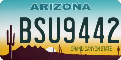 AZ license plate BSU9442