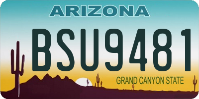 AZ license plate BSU9481