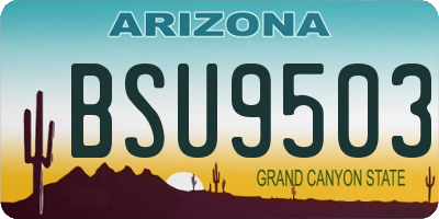 AZ license plate BSU9503