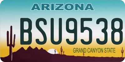 AZ license plate BSU9538