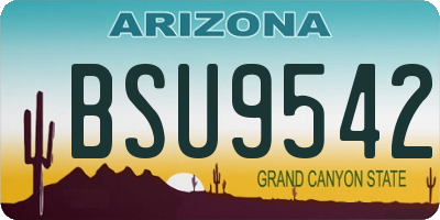 AZ license plate BSU9542